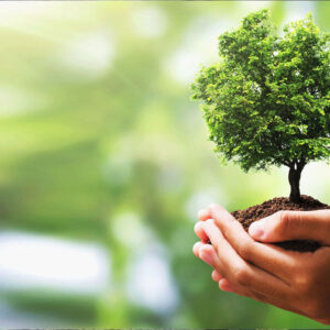 মাসিক দান