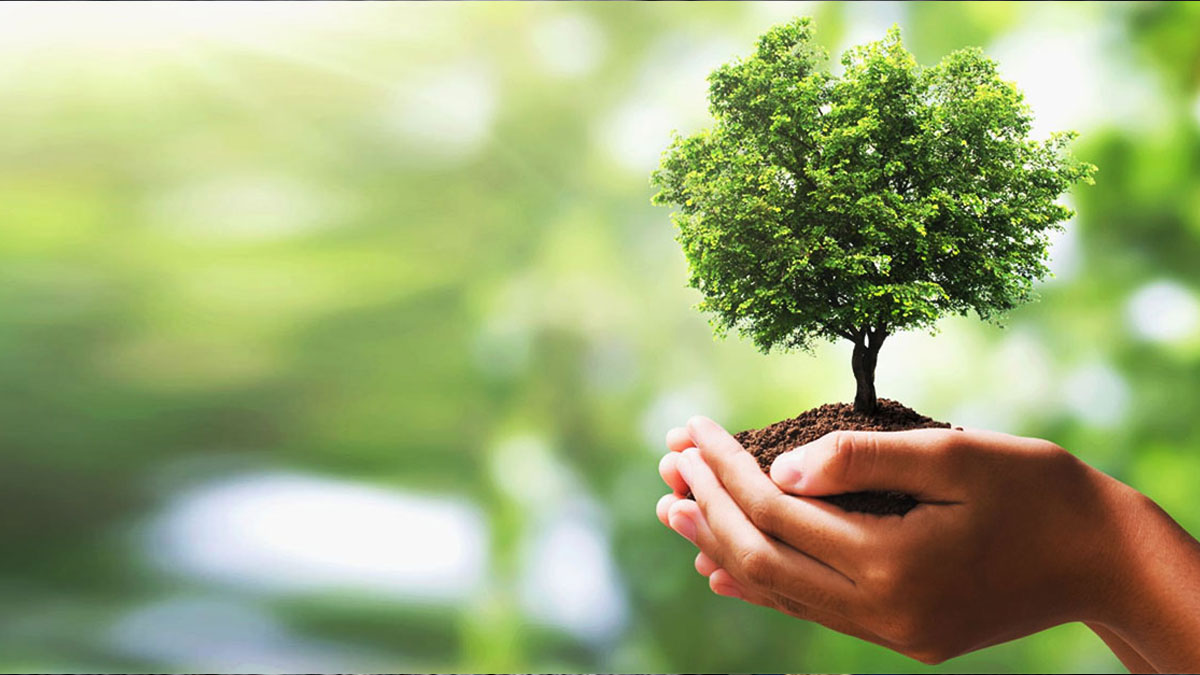 মাসিক দান